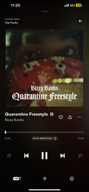 Obsedian Wolf in Sheep hoodie 🐺